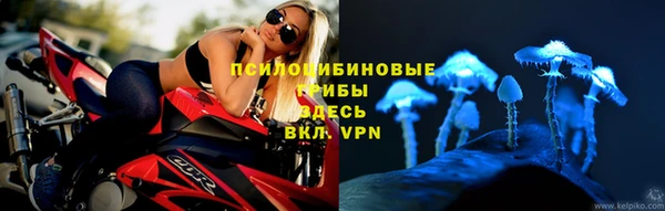 сатива Верея
