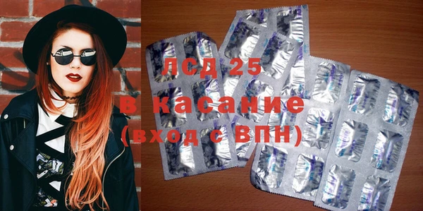 сатива Верея