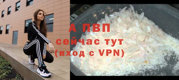 сатива Верея