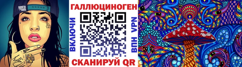 Купить  Рославль  Псилоцибиновые грибы Psilocybine cubensis 